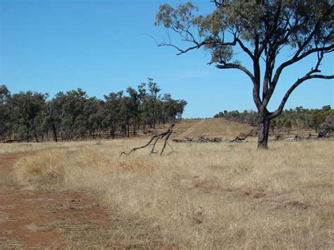 Frostys Aussie Adventures Fossicking