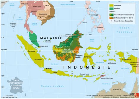 Arriba Imagen Carte Borneo Fr Thptnganamst Edu Vn