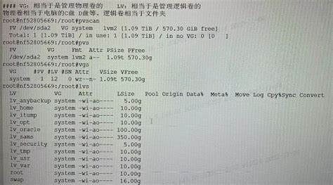 【linux篇】磁盘lvm管理 Pv Vg Lv Pe Linux Pv Vg Lv Csdn博客