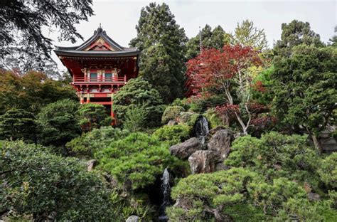 Cosas Que Quiz S No Sab As Sobre El Golden Gate Park De San