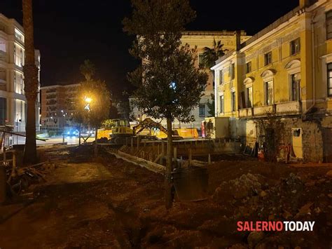 Salerno Prende Vita La Nuova Piazzetta Ultimata La Piantumazione Di