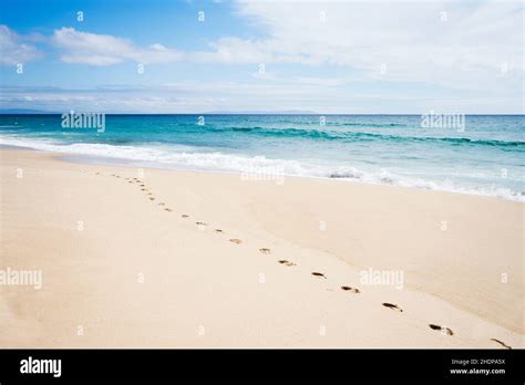 beach, footprint, andalusia, beaches, seaside, footprints, andalusias ...