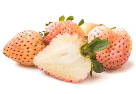 pineberries flavor season    buy
