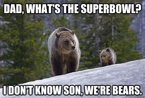 chicago bears | Funny football memes, Nfl funny, Animal memes