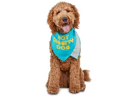 Petco Coupon Code Off Entire Online Order Huge Deal List For