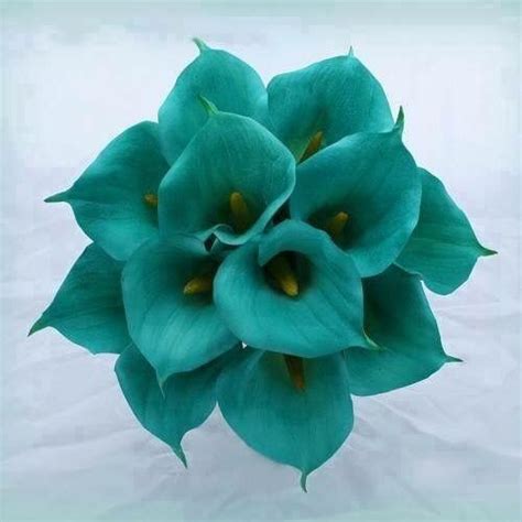 Teal Calla Lily Teal Wedding Flowers Blue Wedding Bouquet Teal