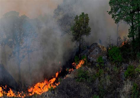 Incendios Forestales Han Consumido M S De Mil Hect Reas En