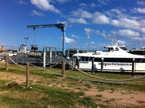 Holt Street Wharf - Pinkenba - Pinkenba Queensland, Australia | Yelp