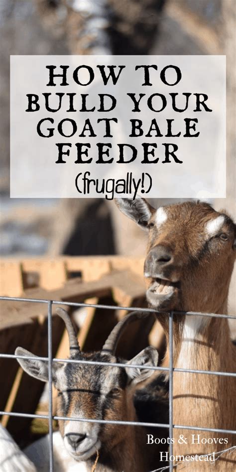 How To Build Your Own Goat Hay Bale Feeder Frugally Use A Couple Of