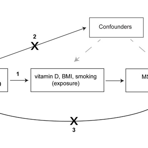 6 Schematic representation of an MR study. Genetic variants robustly ...