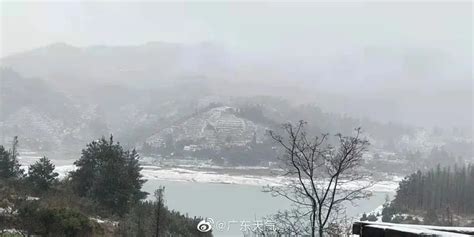 广州6年后又下雪？破案了！ 澎湃号·政务 澎湃新闻 The Paper