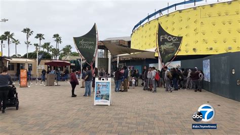 Long Beach aquarium celebrating 20th anniversary - ABC7 Los Angeles