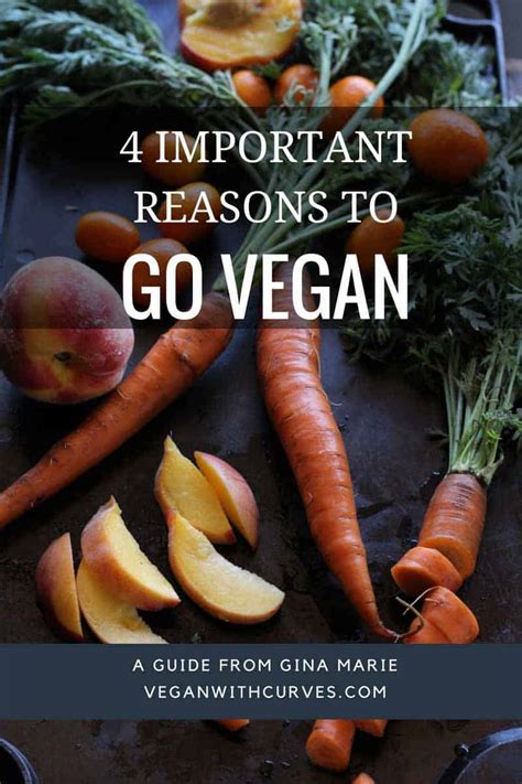 4 Important Reasons To Go Vegan Vegan With Curves