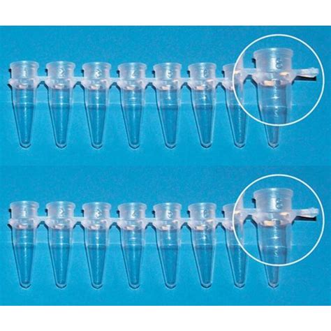 BrandTech PCR Tube Strip Without Cap 8 X 0 2mL