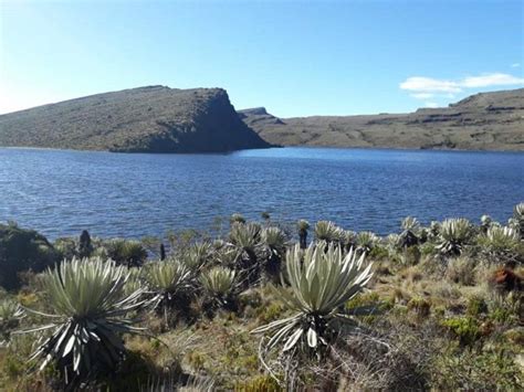 El Ecoturismo en el Parque Nacional Natural Sumapaz no está permitido