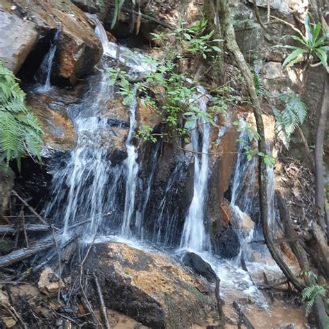 Magoebaskloof Getaway Hiking Trail – Norflex Adventure Guide