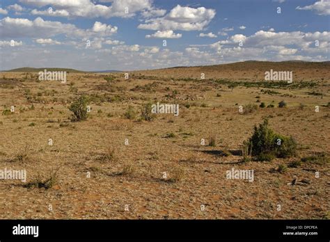 The Masai Mara landscape in February Stock Photo - Alamy