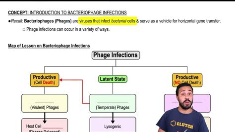 Bacteriophage Envelope