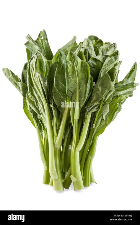 chinese kai lan stock photo alamy