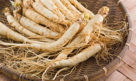 Para Que Serve O Ginseng Panax - ¿Qué es el Panax Ginseng? - Essentials99