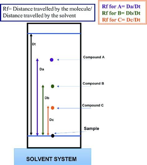 9 Basic Principle Of Thin Layer Chromatography Tlc Download