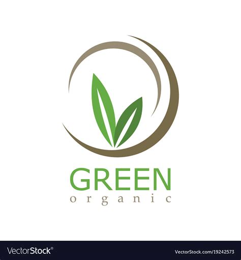 Green Leaf Organic Logo Royalty Free Vector Image