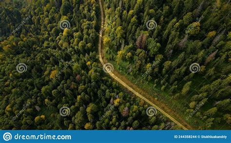 Summer Forest Trail Aerial Photography Wood Road Stock Photo Image