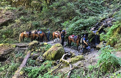 Mark O. Hatfield Wilderness Loop - Backcountry Sights