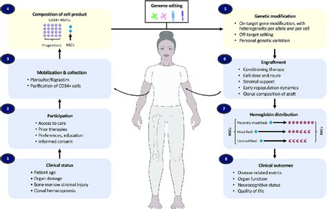 Clinical Heterogeneity In Genome Editing This Figure Illustrates Steps