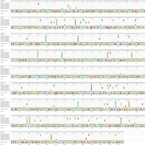 Vp Nucleotide Sequence Alignment Of The Six Isolates Showing Multiple