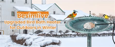 Besimlive Bird Bath Heater For Outdoors In Winter 70w