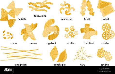 Italian Pasta Types Set Different Macaroni Noodle And Farfalle