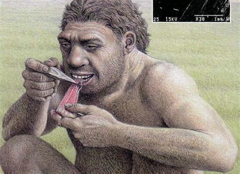 Los Yacimientos De Atapuerca Y El Homo Antecesor Por Karol Yolanda