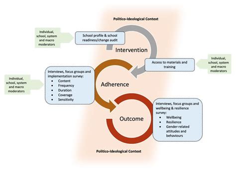 An Integrative Framework For Evaluating Implementation In Sel And Gbv