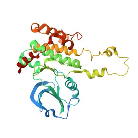 Gene Q9H2G2 Protein SLK Overview CanSAR Ai