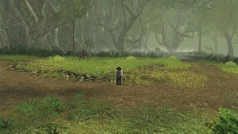 Lotro Old Forest Exploration Deed In Bree Land Fibrojedi