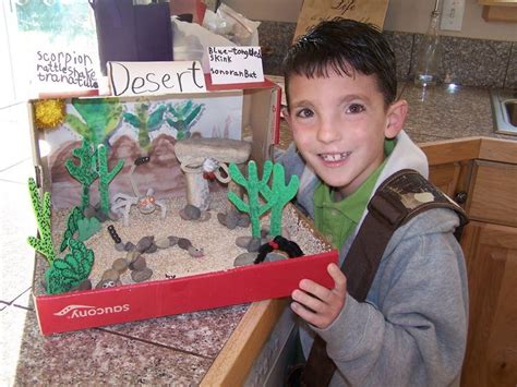 Desert Habitat Shoebox Diorama At Lilian Dixson Blog