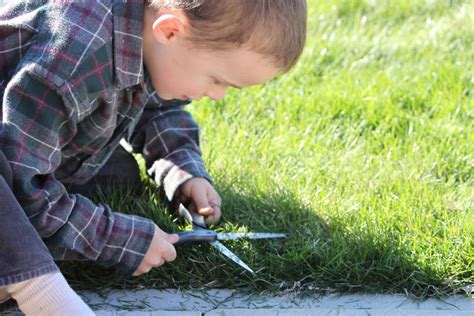 Life Is Beautiful Cutting The Lawn W Scissors