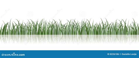 Vector Grass Illustration Stock Vector Illustration Of Conservation 8226186