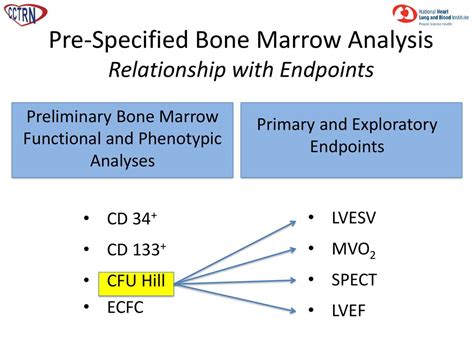 Effect Of Transendocardial Delivery Of Autologous Bone Marrow