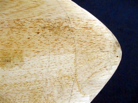 Balsa Surfboard Australian Wood Review