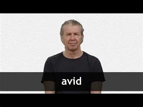 avid definition  meaning collins english dictionary