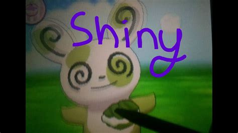 Shiny Spinda Random Horde Encounter Pokemon Y YouTube