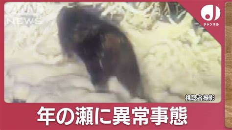 “年の瀬”もクマ目撃情報相次ぐ 異常事態に“警報延長”