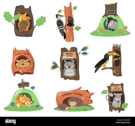 Woodland Forest Habitat Cartoon