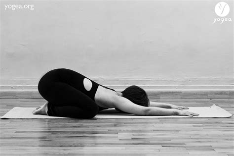 Balasana 2 – Polar bear pose - YOGEA | Innovative Yoga