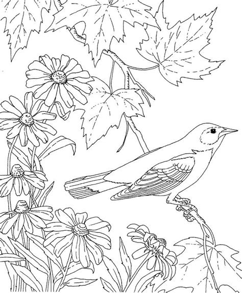 Oklahoma State Bird And Flower - Coloring Home