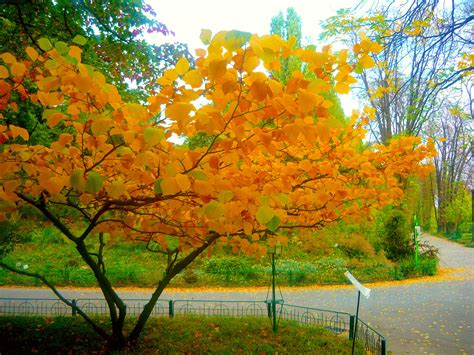 „Destination: Bucharest” - Things to do in Bucharest this fall