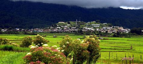 All about Ziro Valley and Ziro Music Festival - TheUnexplored Blog