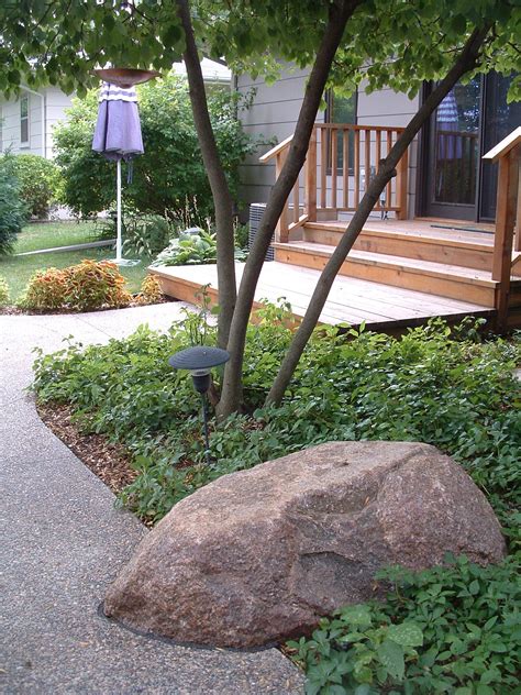 Dogwood Tree Landscaping Ideas | Landscaping